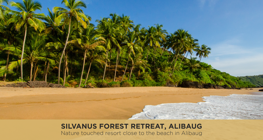 Best Resort in Alibaug